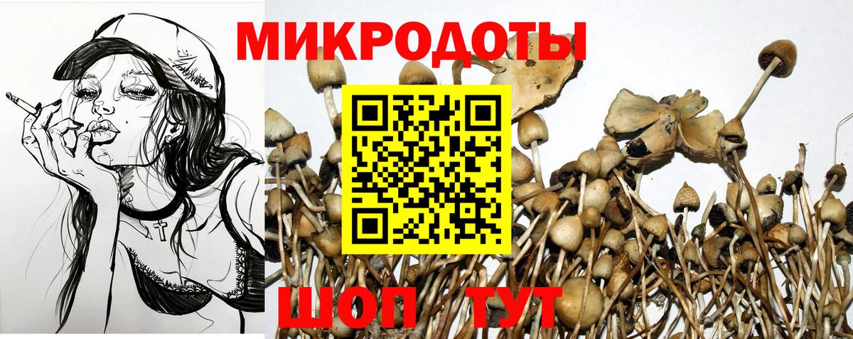 Псилоцибиновые грибы GOLDEN TEACHER  Вход с VPN  Псилоцибиновые грибы ЛСД  Урай 