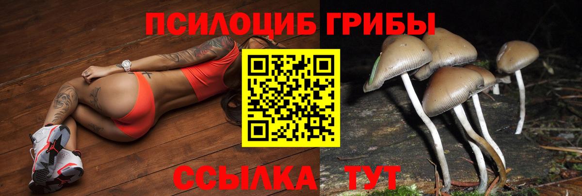 Галлюциногенные грибы GOLDEN TEACHER Урай
